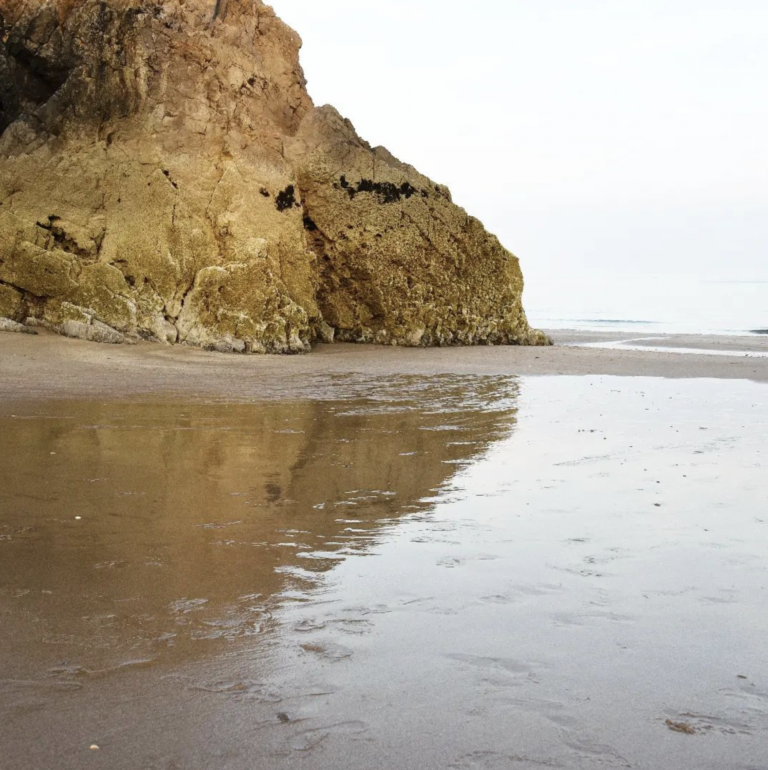 The longing for the spring and the coast