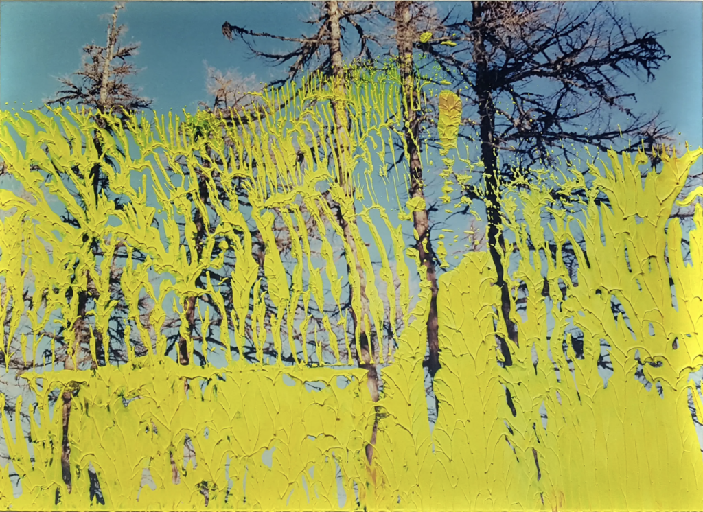 Gerhard Richter