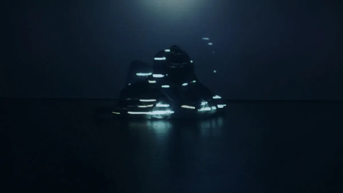 Bodies Inside the Projection